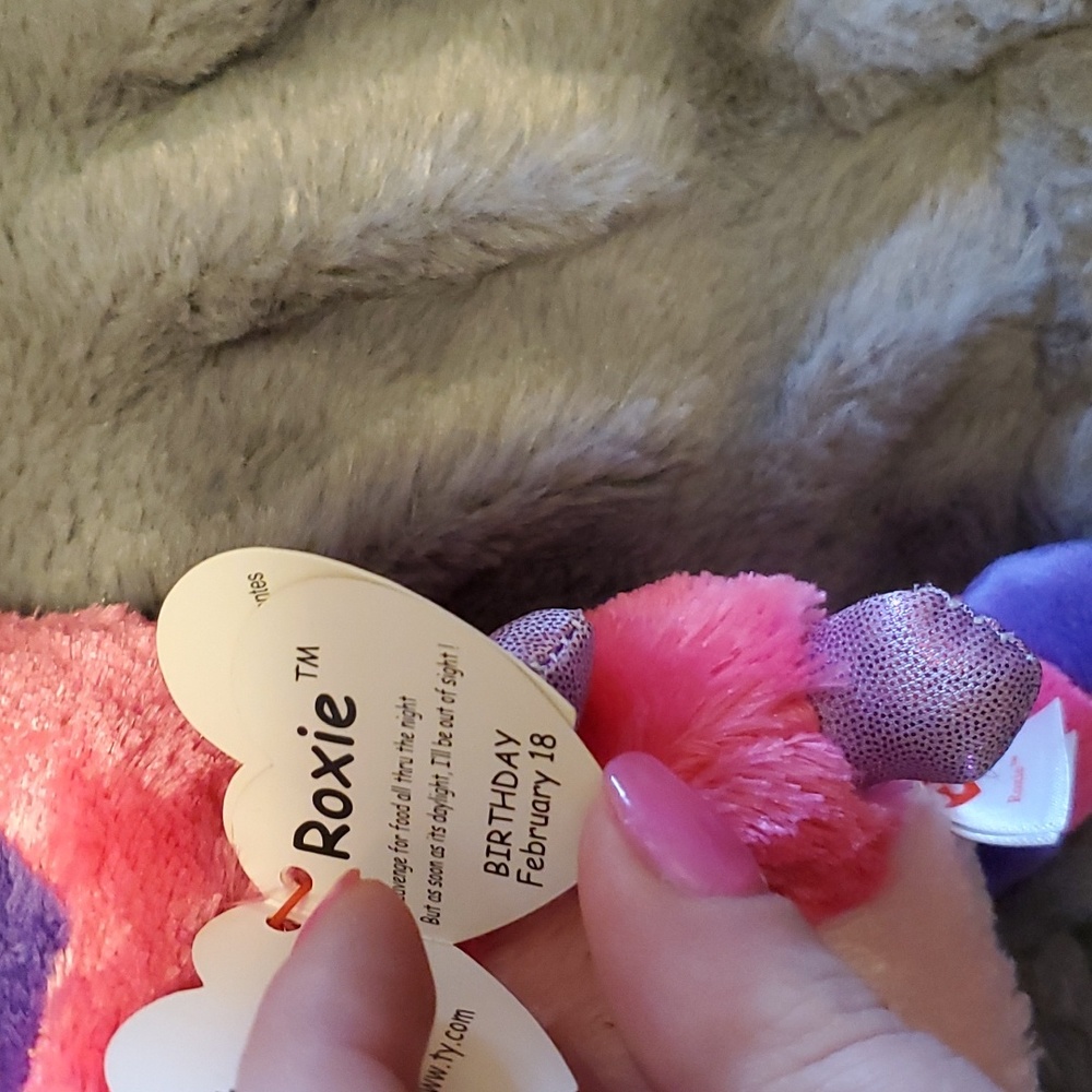 Ty Roxie - Picture 2 of 2